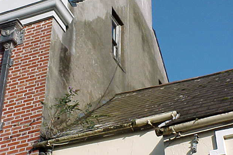 Roof Survey