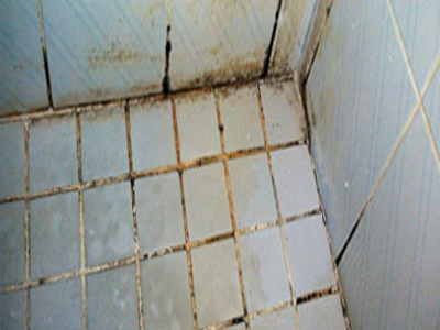 mould on tiles