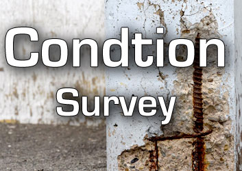 Condtion Survey
